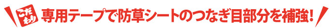 専用ピンでしっかり固定